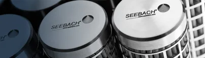 Seebach polymers